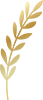 https://www.helleberg-coaching.de/wp-content/uploads/2024/09/Mistelzweig-100H.png